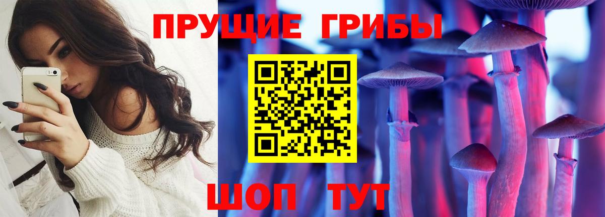 Галлюциногенные грибы Magic Shrooms  Вход с VPN  Котлас  купить наркотики цена  Галлюциногенные грибы прущие грибы 